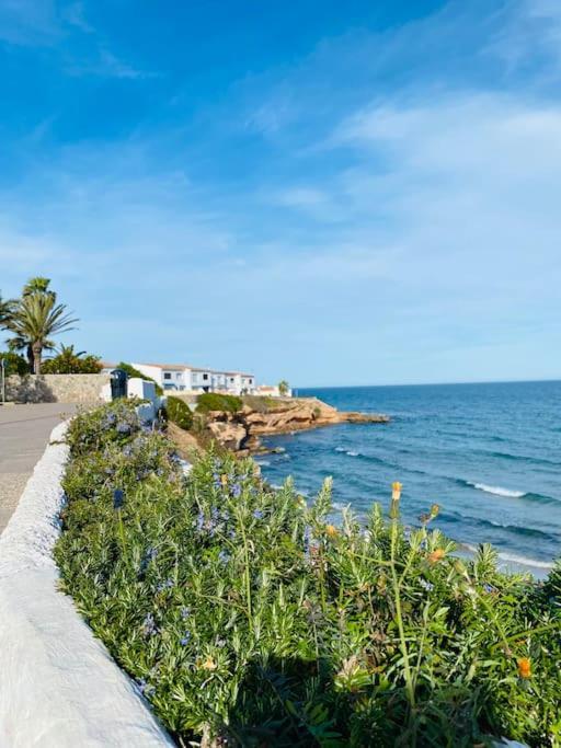 Casa De Flores Torrevieja Exterior photo